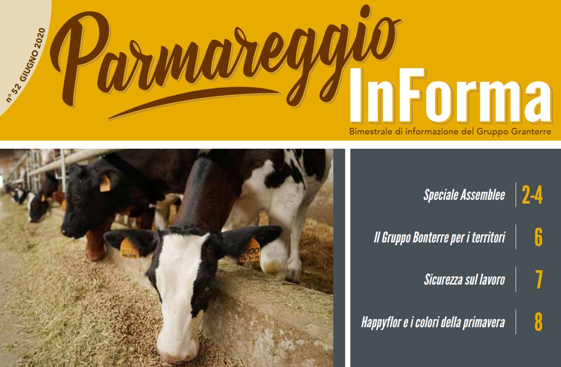 PARMAREGGIO INFORMA - Giugno 2020