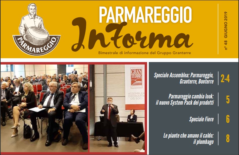 PARMAREGGIO INFORMA - Giugno 2019